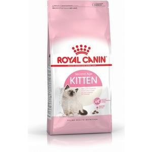 Royal canin jeleu pentru pisoi