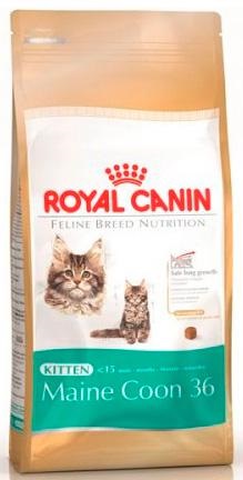 Royal canin jeleu pentru pisoi