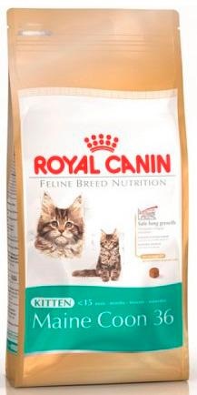 Royal canin jeleu pentru pisoi