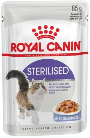 Royal canin jeleu pentru pisoi