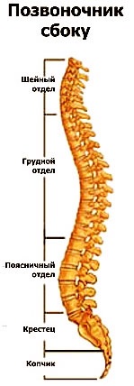 Tünetek és jelek a gerinc rák, a nyaki, háti és ágyéki gerinc