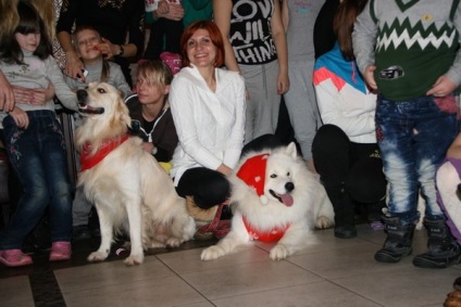Proiecte sociale - câini pentru copii - yportal, forum yaroslavleva