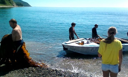 Sfaturi pentru vara ceea ce mare kale este cel mai util