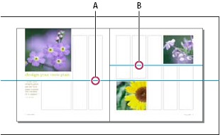 Crearea și aplicarea de conducători de riglă în indesign