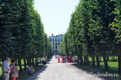 Esküvő Arkhangelskoye birtok, walk-vándorlás