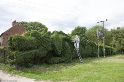 Топ 25 впечатляващи Topiary скулптури