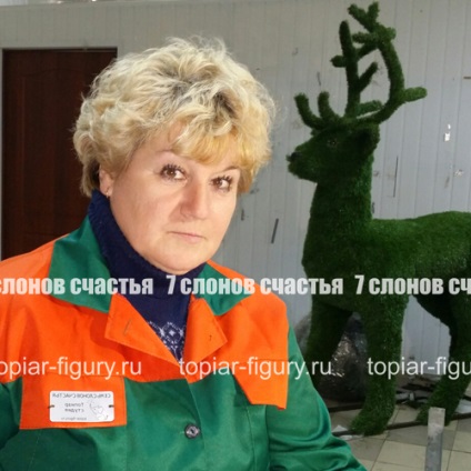 Topiary cifre disponibile și de producție personalizate, compania - 7 elefanți de fericire