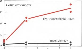 Transformarea in vitro - experimente de cancer și ipoteze