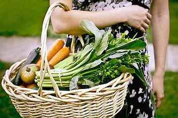 Vegetarianismul este totul pentru și împotrivă