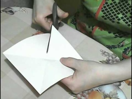 Video, deoarece este necesar să se facă o hârtie - yugagro