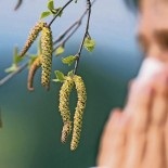 Allergia (allergiás nervosa) allergia
