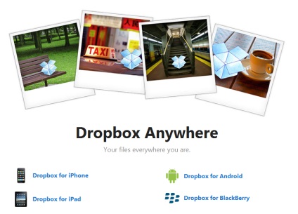 Mindent a dropbox