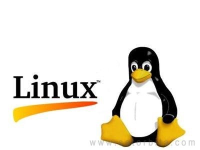 Hacking Contact prin Linux