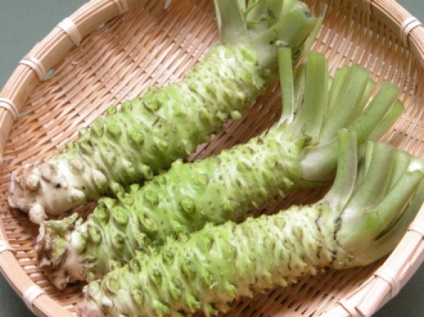 Hrean japonez »wasabi ne cultivați singuri
