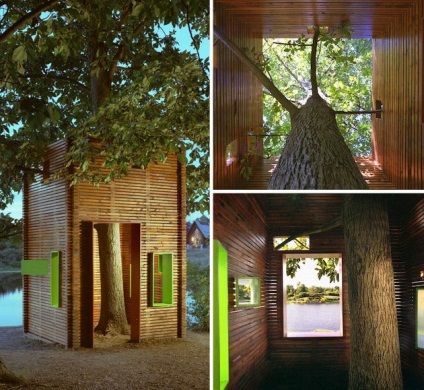 20 Idei pentru construirea unei case de copaci
