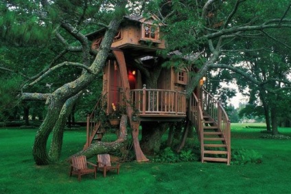 20 Idei pentru construirea unei case de copaci