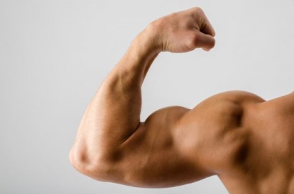 5 Informații importante despre mușchii care vă vor ajuta să vă antrenați mai eficient