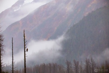 6 motive pentru care ar trebui să imprimați fotografiile dvs. - cele mai bune fotografii!