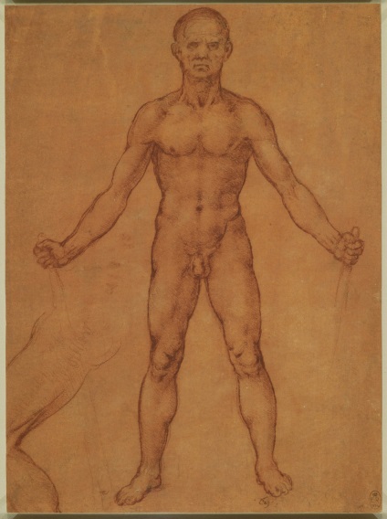 Desene anatomice ale lui Leonardo da Vinci postate în acces liber