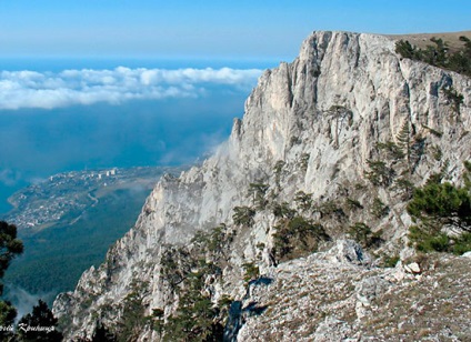 Baze de străini