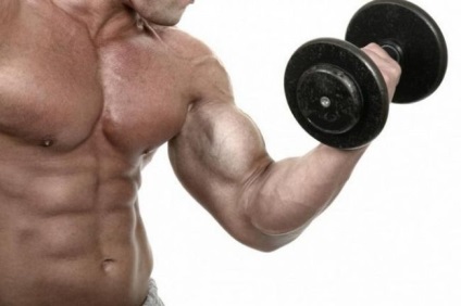 Ce sunt tricepsul și bicepii