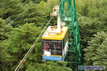 Arboretum Sochi - poze, informatii, preturi, comentarii