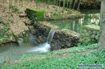 Arboretum Sochi - poze, informatii, preturi, comentarii