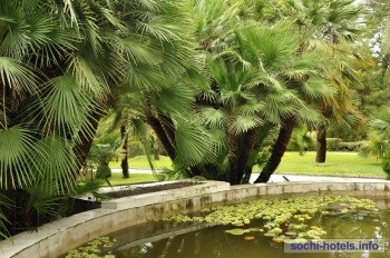 Arboretum Sochi - poze, informatii, preturi, comentarii