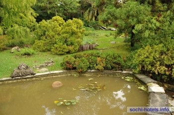 Arboretum Sochi - poze, informatii, preturi, comentarii