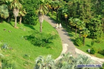 Arboretum Sochi - poze, informatii, preturi, comentarii