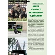 Instruirea animalelor domestice în Pereslavl-Zalesskiy, 0 vânzători verificați