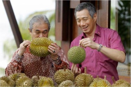 Durian gyümölcs kép, mint az illata, íze, jellemzői