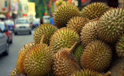 Durian (gyümölcs), mint a táplálkozás, hasznos tulajdonságok és ellenjavallatok