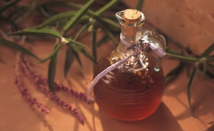 Angelica - proprietăți medicinale și contraindicații, fotografie, aplicație de Angelica officinalis