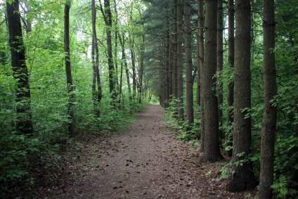 Arboretum Dzerzhinsky este un parc dendrologic din Dzerzhinsk