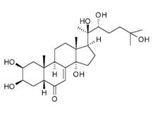 Ecdysterone - recenzii, preturi, unde sa cumperi si cum sa iei