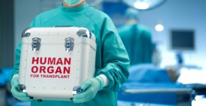 Sistemele europene și americane de transplant de organe umane