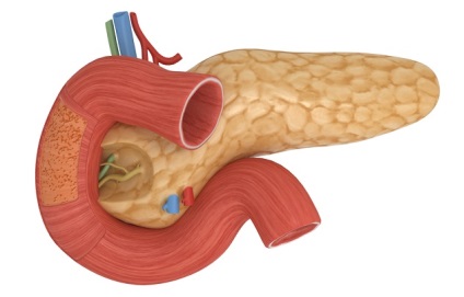 Echogenitatea pancreasului este crescută ce este și de ce