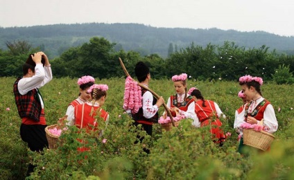 Festivalul de Rose din Bulgaria cum se ajunge, hoteluri