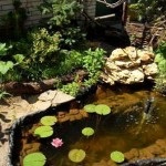 Fountain kert, saját kezével, esztétikus táj