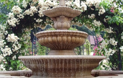 Fountain kert, saját kezével, esztétikus táj