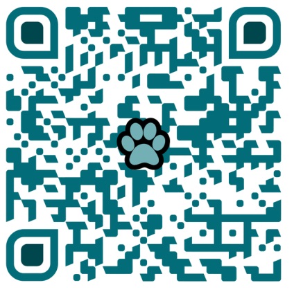 Generator de coduri Qr cu schimbare dinamică și design personalizat