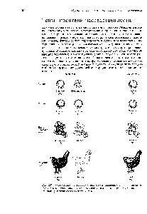 Organisme homozigote - cartea de referință chimică 21