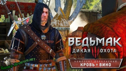 Armura maestrului școlii pisicilor din Witcher 3