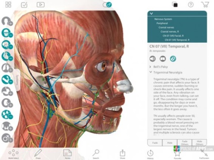 Atlasul anatomiei umane 7 Pași pentru înțelegerea anatomiei