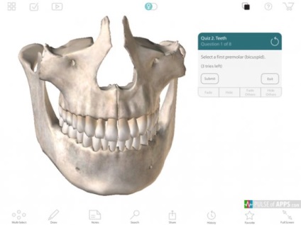 Atlasul anatomiei umane 7 Pași pentru înțelegerea anatomiei