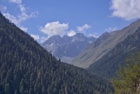 De la Dombai la arhiez (rută 366) - Dombai-Elbrus - excursii de munte și trasee de la Dombai până la Elbrus!