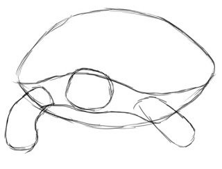 Cum de a desena o broasca testoasa pas cu pas pentru incepatori