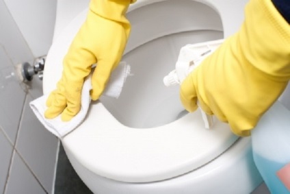 Cum să curățați vasul de toaletă cu idei proaspete din 2013, - instrucțiuni micro pentru activități zilnice
