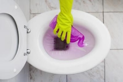 Hogyan tisztítsa meg a WC-csésze friss ötleteket 2013 - mikrohullámú utasításokat a mindennapi tevékenységek
